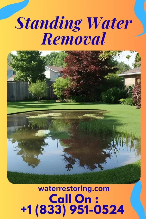 Standing Water Removal in Mizpah, MN